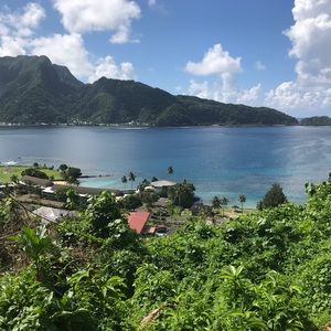 Meet your Posher, Tufi